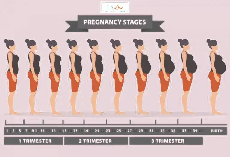 First Trimester (Weeks 1–12): Early Changes You Might Not Notice Poole